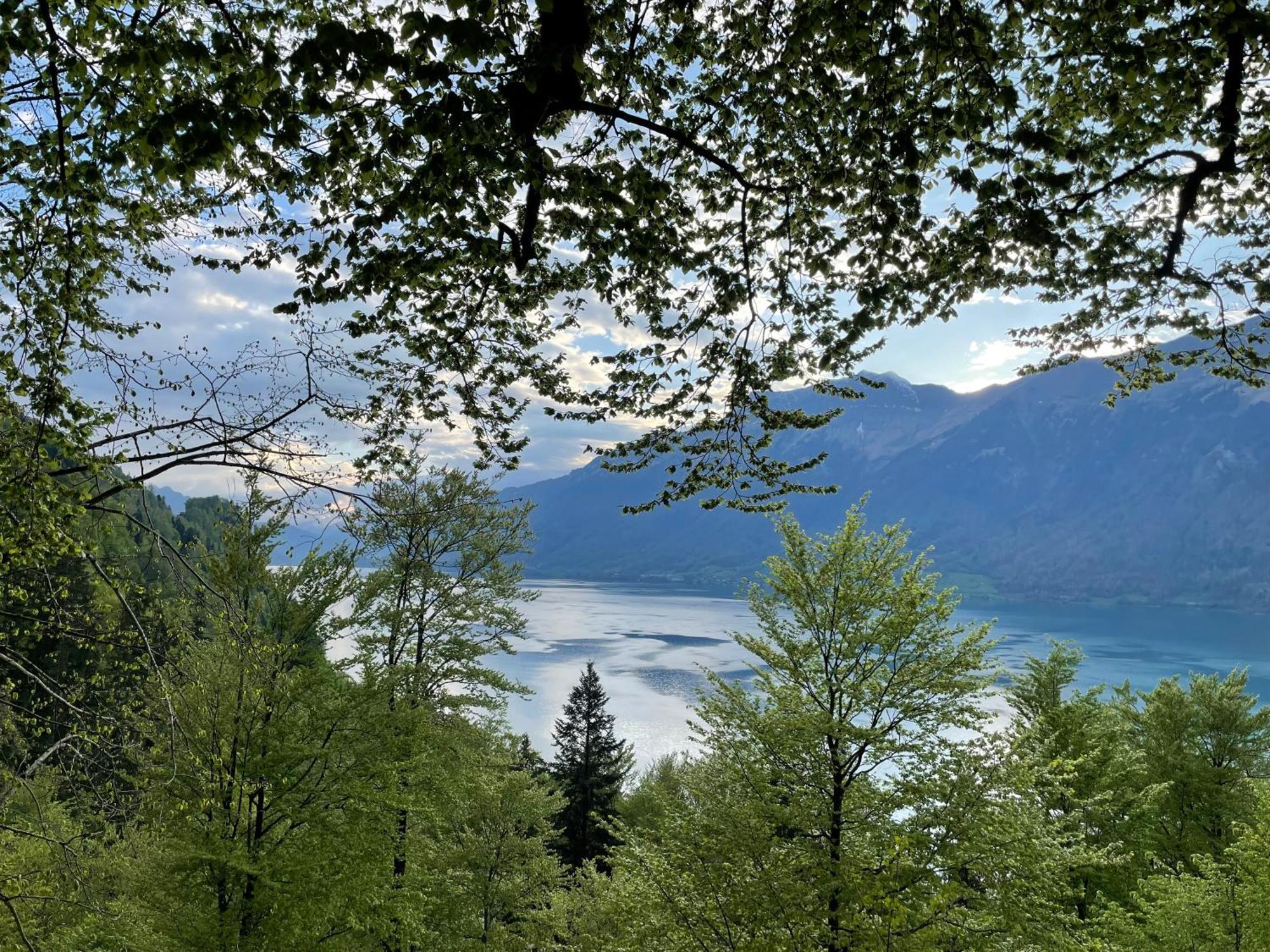 Romantic Lake & Mountain Apartment Pure Swissness Brienz  Luaran gambar